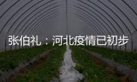 张伯礼：河北疫情已初步得到抑制 整体形势可控