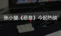张小斐《恶意》今起热映

！勇闯恶女赛道以真情“刺痛”人心‌
