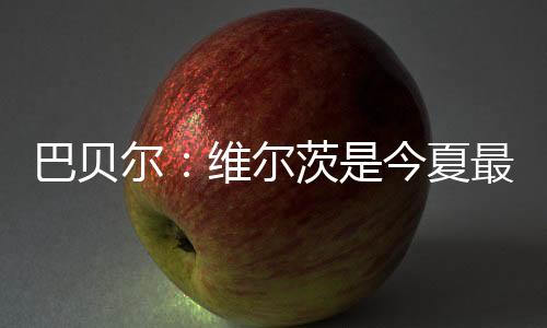 巴贝尔说道
：“迄今为止