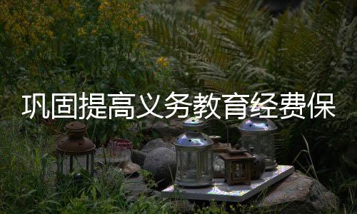 保障通过以奖代补方式