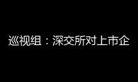 巡视组：深交所对上市企监管不力