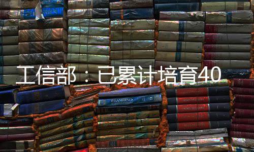 工信国着力培育市场主体