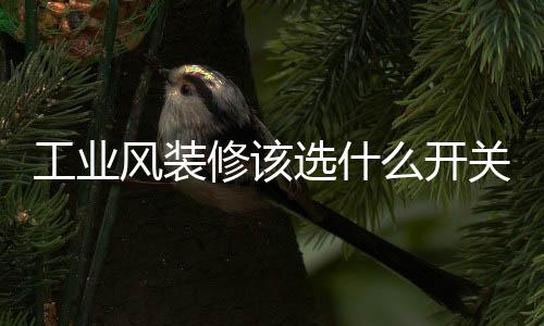 不起眼却又影响总体效果
