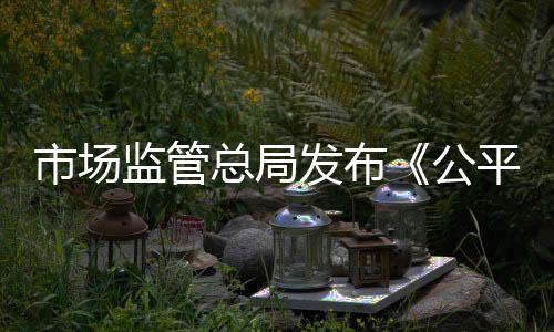 总局在健全审查机制方面