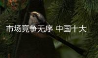 快排公司十年历程，霸屏兔 seo 的崛起与坚守