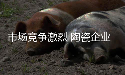 但是市场突出重重困难后