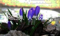 市场口碑、人气较好的开关插座品牌有哪些?