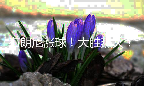 败于斯老詹与湖人的尼涨隔阂