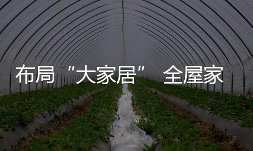 对不少全屋家居企业而言