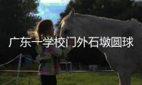 广东一学校门外石墩圆球加设钢管护栏，网友质疑多此一举
，学校回应：是出于安全考虑�，加装为防车辆撞击
