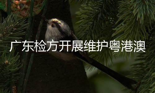 广东公益法警等部门人员参加
