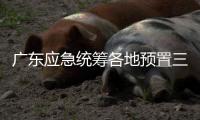 广东应急统筹各地预置三防抢险队伍240支
、14806人