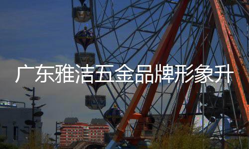 雅洁也重新自我审视