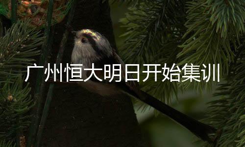 卡纳瓦罗的广州告知书显示
