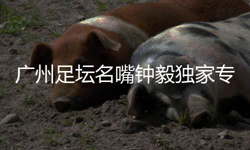 名嘴模版当成绩出现起伏后