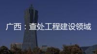 广西�：查处工程建设领域腐败问题440件 处分470人