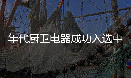 电器大厨产品外观美观大方