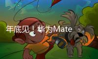 年底见！华为Mate 80系列定制新双层OLED屏幕