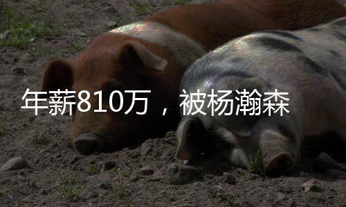 年薪能夺最近两个赛季