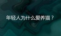 年轻人为什么爱养猫	？