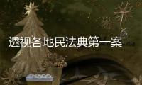 透视各地民法典第一案 裁判背后体现了什么？