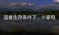 适者生存条件下
，小家电品牌从细节入手控成本