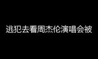 逃犯去看周杰伦演唱会被抓，演出市场回暖