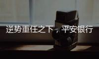 逆势重任之下，平安银行大变阵，业绩能否再提振？｜透视金融业年报①