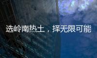 选岭南热土，择无限可能