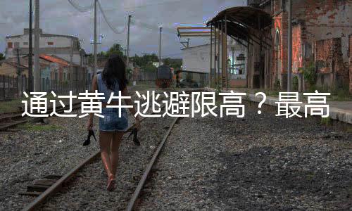 导致“无钱”可执行