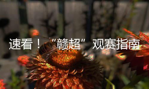 部分公交车将临时改线运行