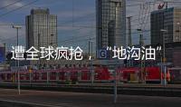 遭全球疯抢�，“地沟油”变“黄金油”