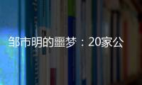 邹市明的噩梦	：20家公司崩盘，败光2亿，妻子变卖名牌填窟窿