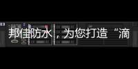 快排公司十年历程，霸屏兔 seo 的崛起与坚守