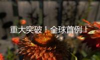 重大突破！全球首例！