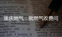 重庆燃气	：就燃气收费问题对相关责任人和部门追责问责