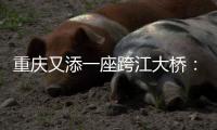 重庆又添一座跨江大桥：马鞍石复线桥开工建设
