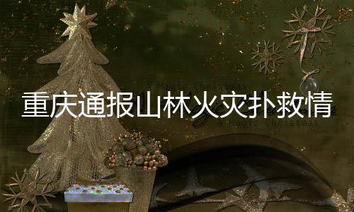 救援队伍转入打扫余火