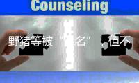 野猪等被“除名”，但不意味着可随意捕杀