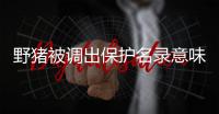 野猪被调出保护名录意味着什么？