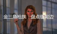 金三角枪族：盘点缅甸边境的自制武器