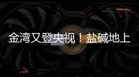 金湾又登央视	！盐碱地上“变”出1.8万亩良田