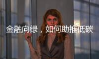 金融向绿，如何助推低碳经济破浪前行｜2024企业双碳行动力调研