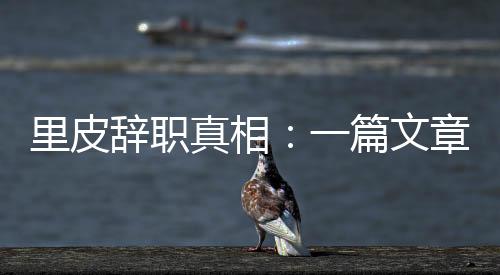 真相章深还是篇文想做好”