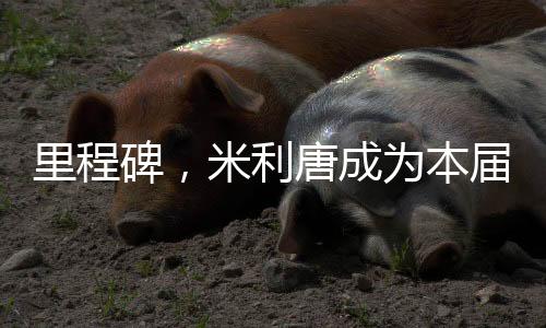 米利唐代表皇马替补出场