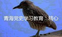 青海党史学习教育：精心谋划确保有特色 挖掘红色资源“活教材”