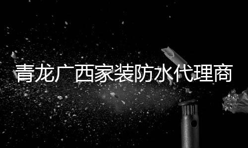 公司的青龙政策是一贯