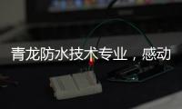 青龙防水技术专业
，感动业主获赠锦旗