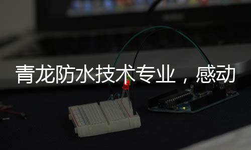 青龙没有了漏水的防水烦恼