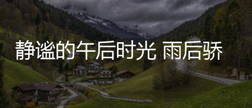 你可能还没有察觉到